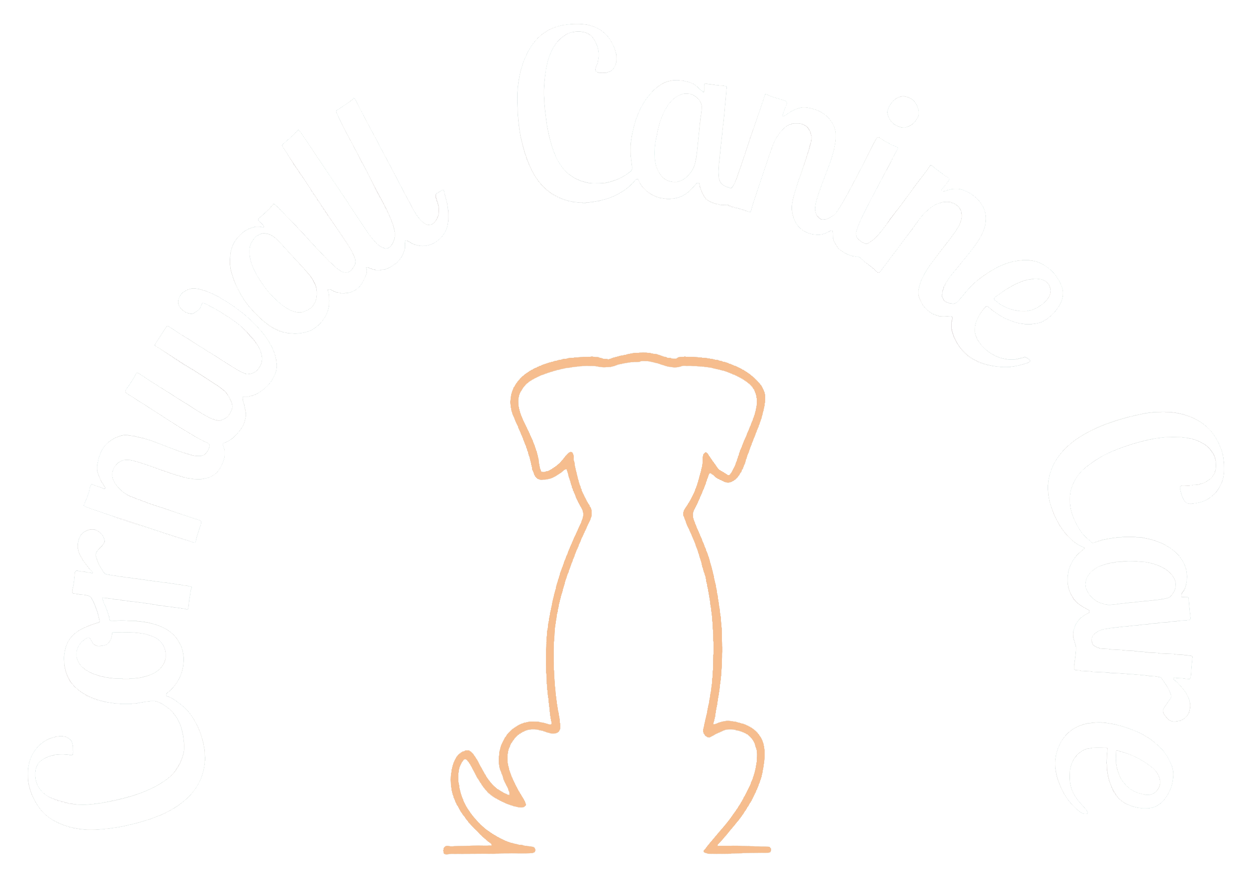 Cornwall Canine Care
